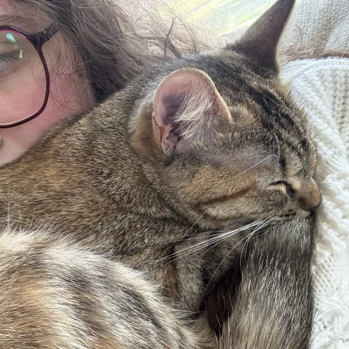 The Loving Cat Lady
