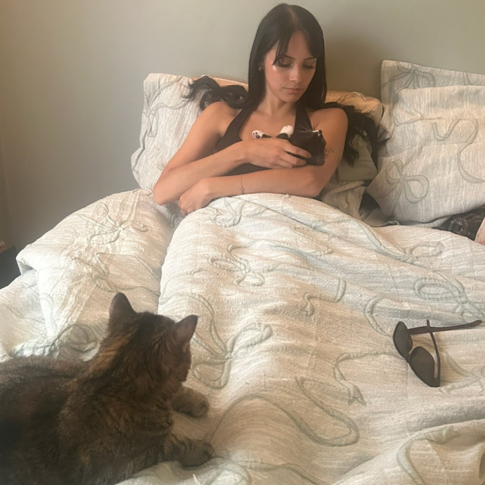 Gentle Attentive Cat Obsessed