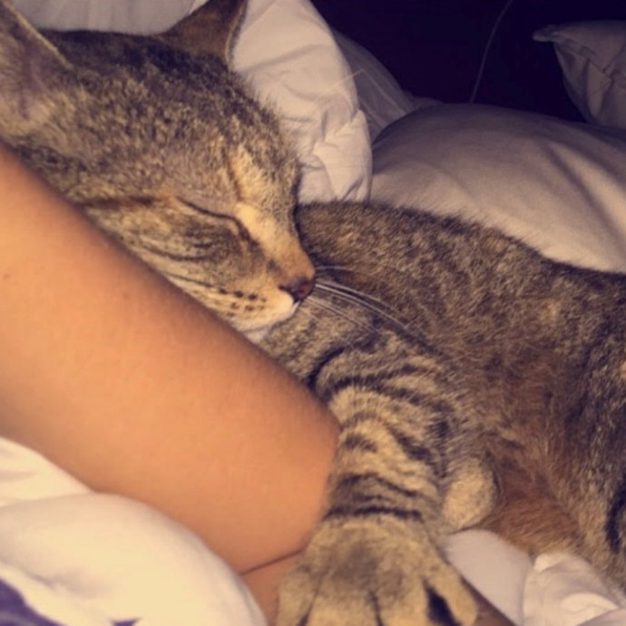 Cat Mom Who'll Love Yours Like My Own photo 2