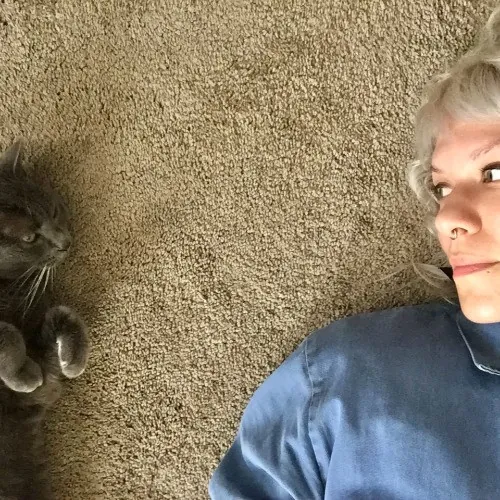 Lara's Westside Cat Sitting Service photo 4