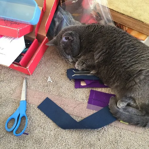 Lara's Westside Cat Sitting Service photo 2