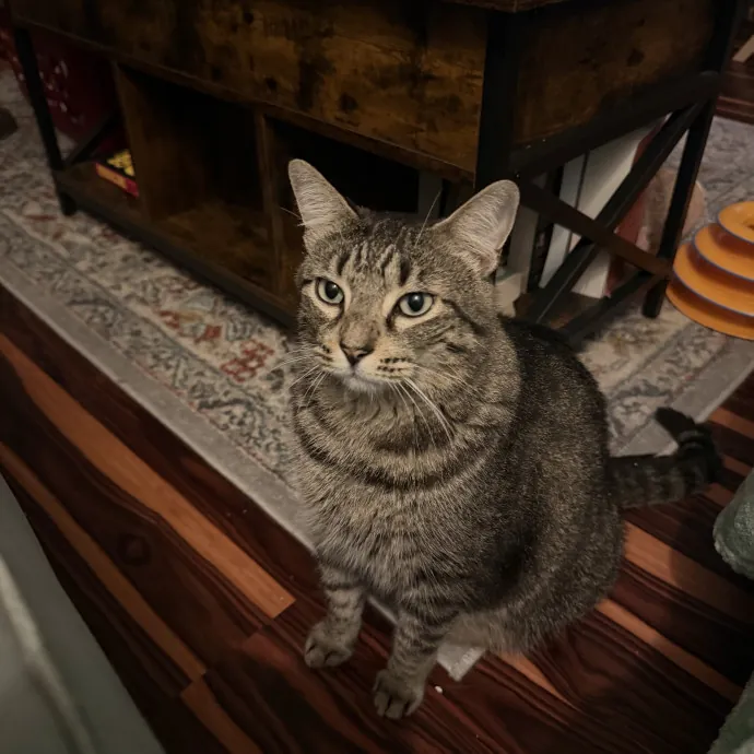 Gina C.