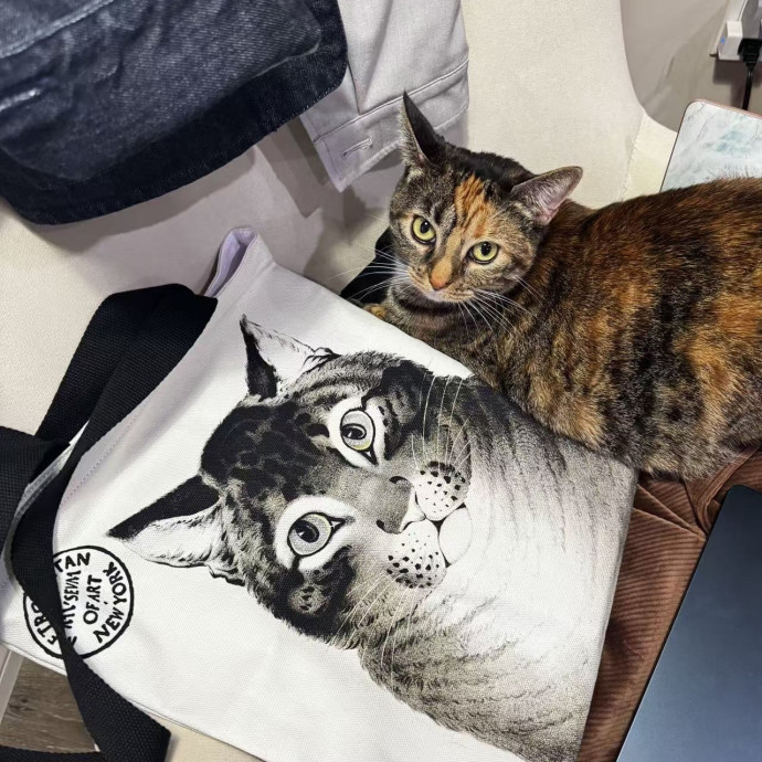 Cat Mom  Trusted Cat Sitter