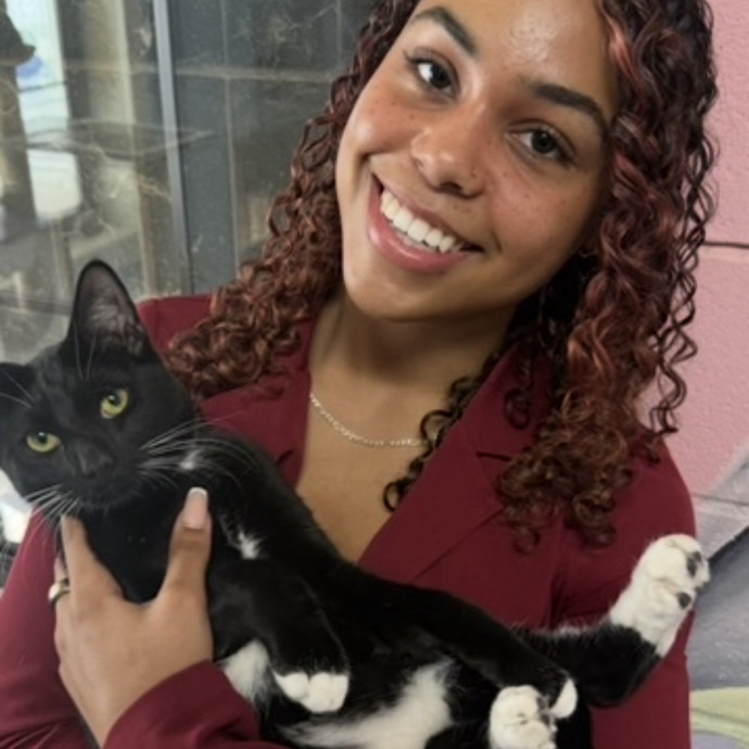 Your Cats Perr-Fect Sitter