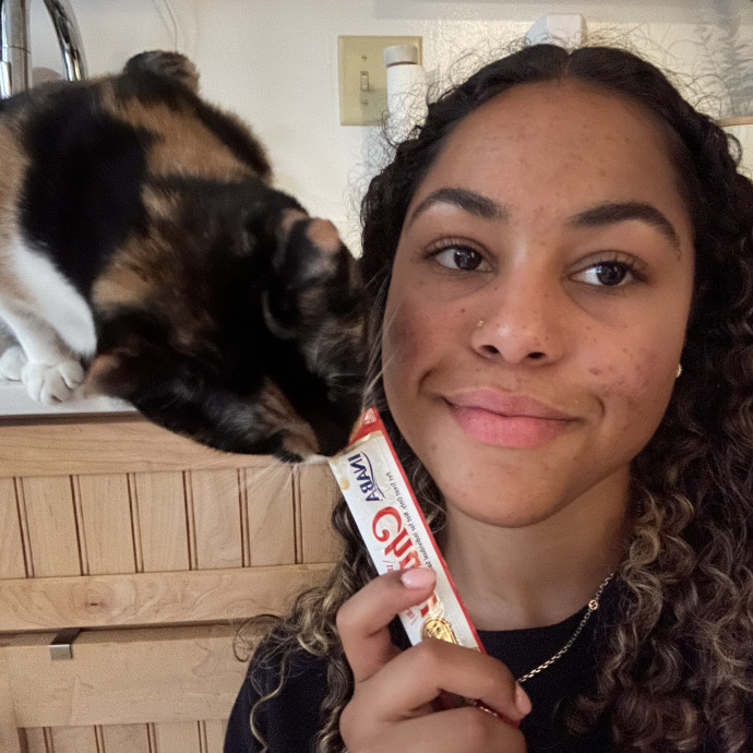 Your Cats Perr-Fect Sitter