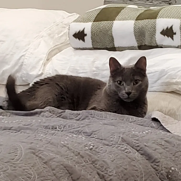 Amanda's Caring Hands