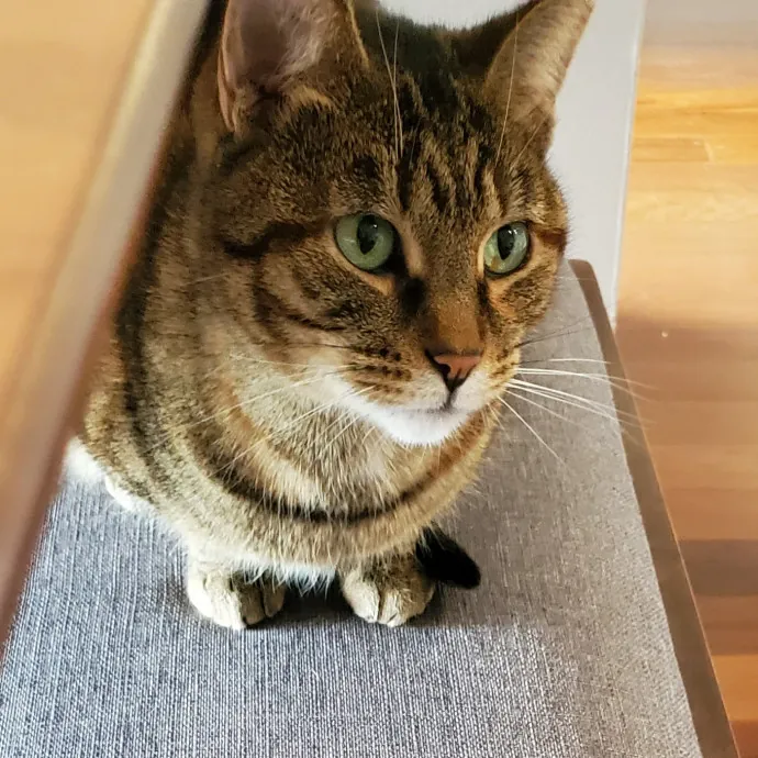 Amanda's Caring Hands