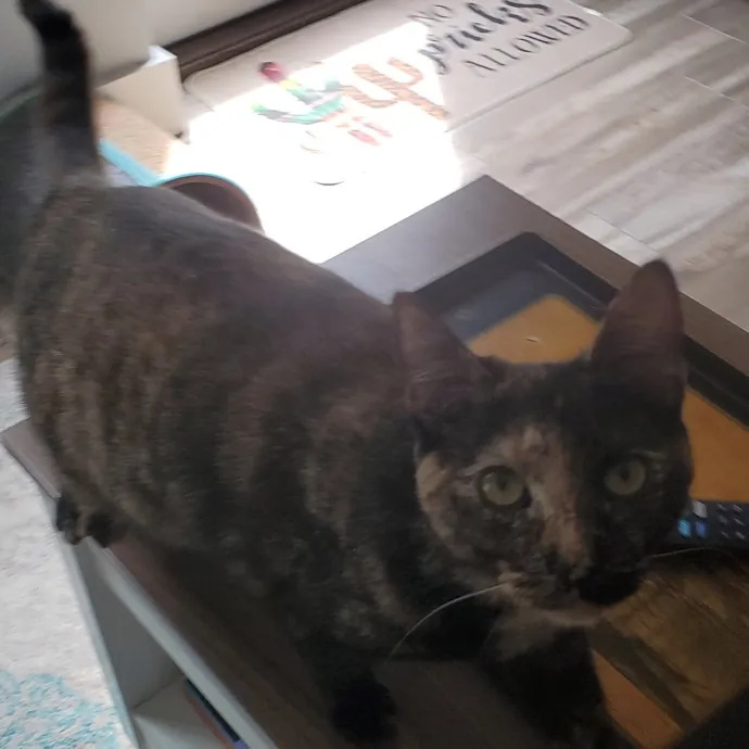 Amanda's Caring Hands