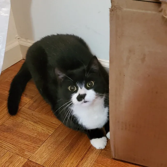 Amanda's Caring Hands