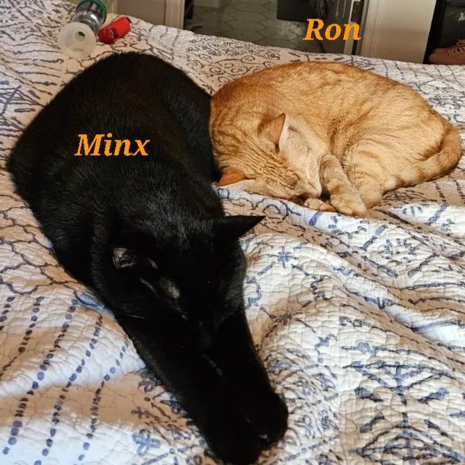 Amanda's Caring Hands