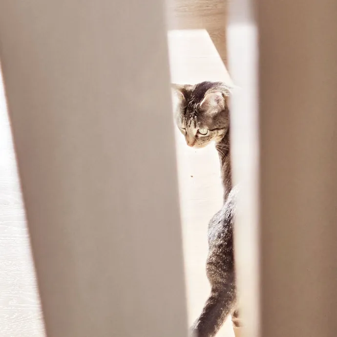 Amanda's Caring Hands