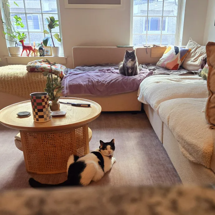 Amanda's Caring Hands