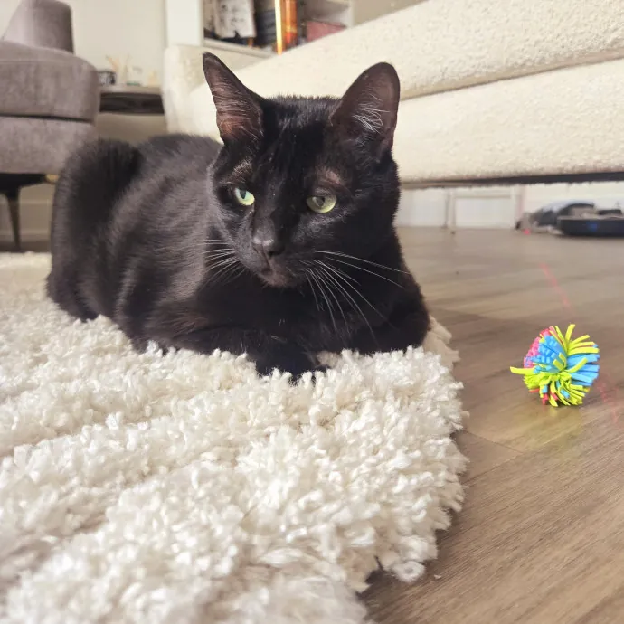 Amanda's Caring Hands