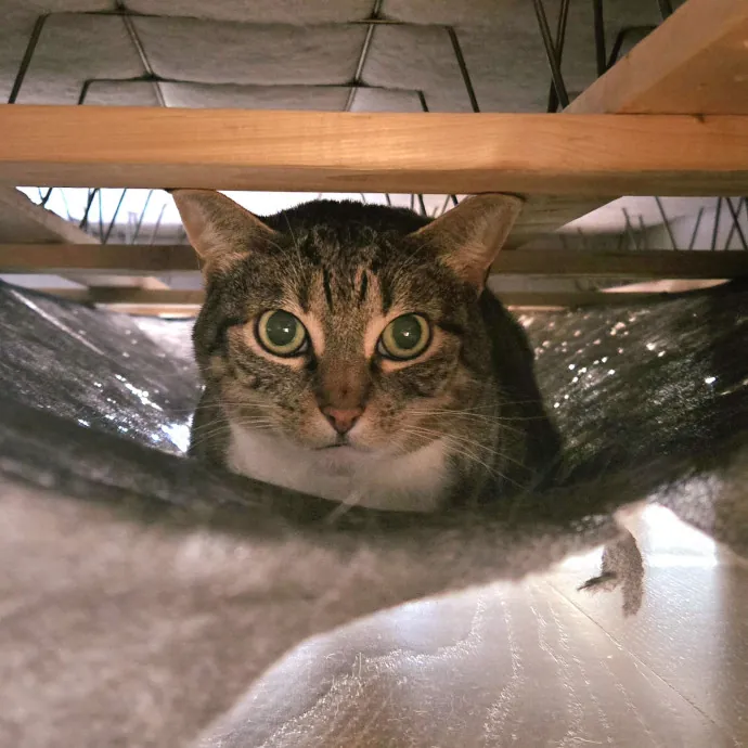 Amanda's Caring Hands photo 4