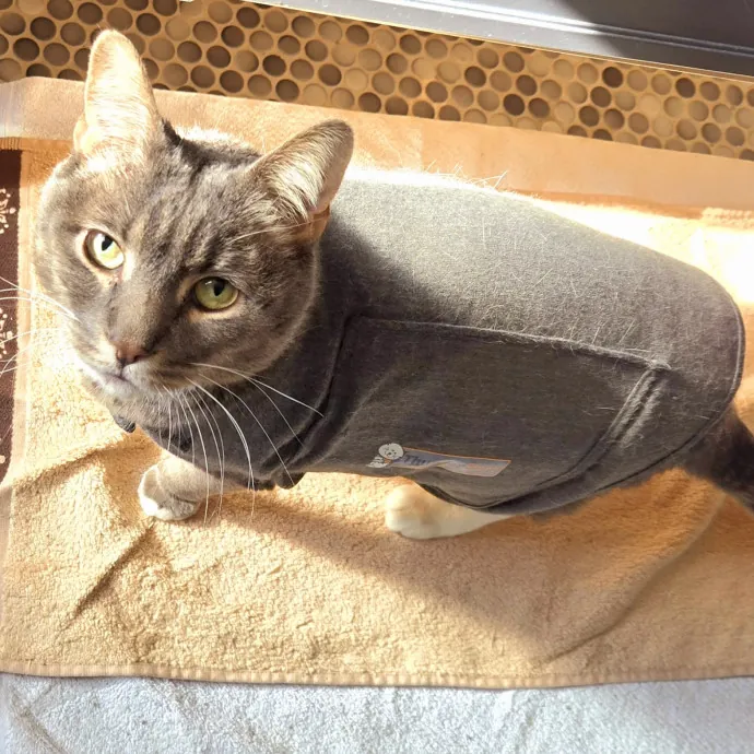 Amanda's Caring Hands photo 3