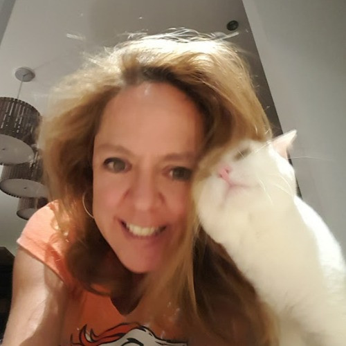 I Love Cats
