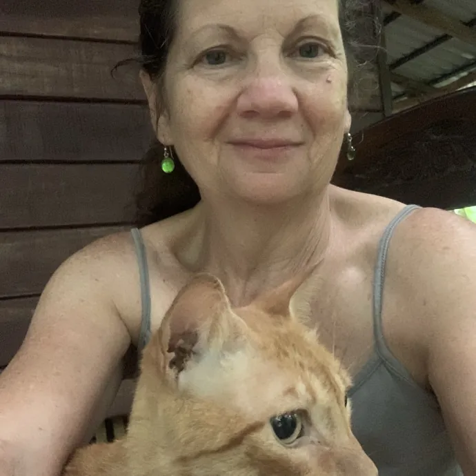 Cat Sits By Gina Is At Your Service