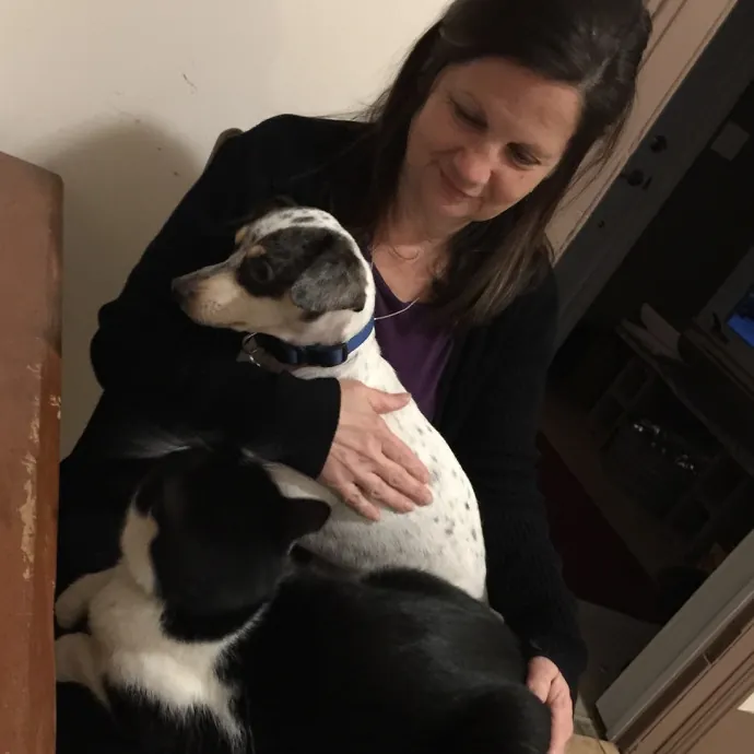 Cat Sits By Gina Is At Your Service photo 4