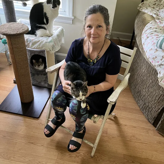 Cat Sits By Gina Is At Your Service photo 2