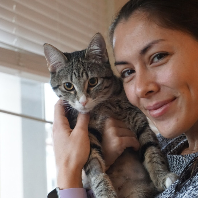 Calm Approachable Loving Cat Sitter