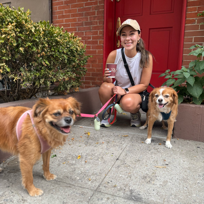 Calm Approachable Loving Cat Sitter