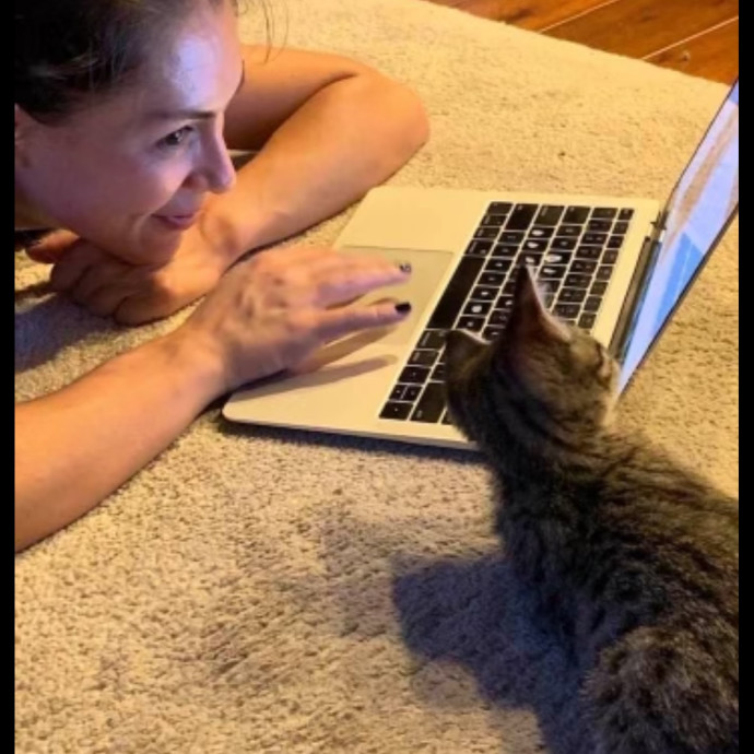 Calm Approachable Loving Cat Sitter