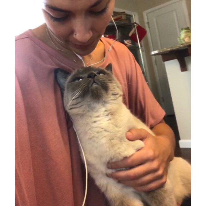 Calm Approachable Loving Cat Sitter