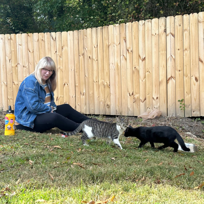 Experienced Cat Sitter  Former Vet Tech