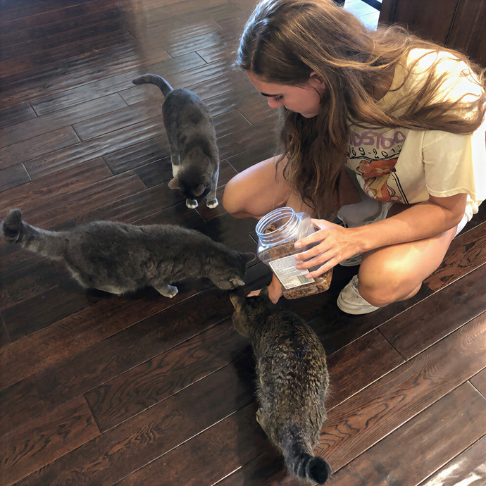 Cat Sitting With Kennedy