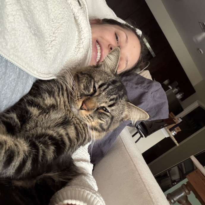 Cat Mom Of 3 And Your Kitty's New Bff