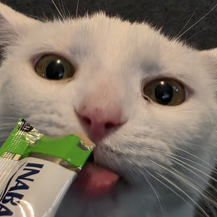 Your Cats Purr-Sonal Assistant