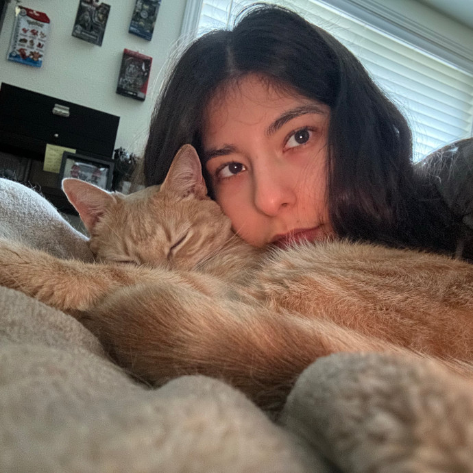 Eugene-Springfield Cat Sitter photo 3