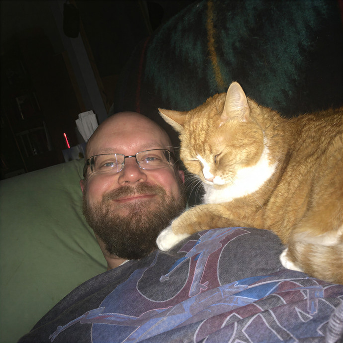 David's Pawsitive Cattitude
