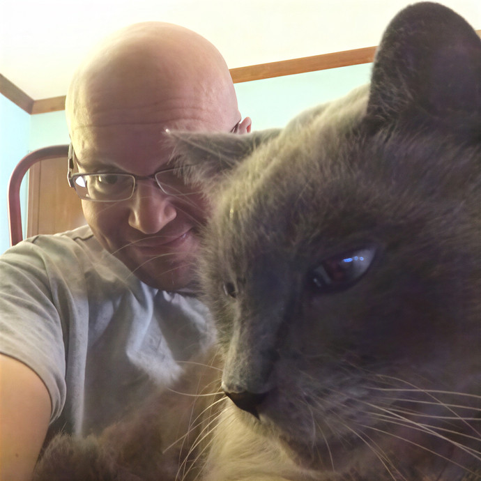 David's Pawsitive Cattitude