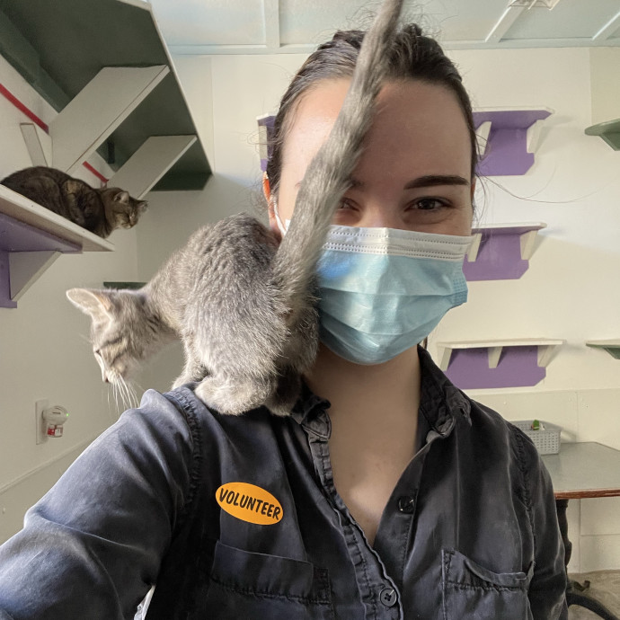 Passionate Cat Lady