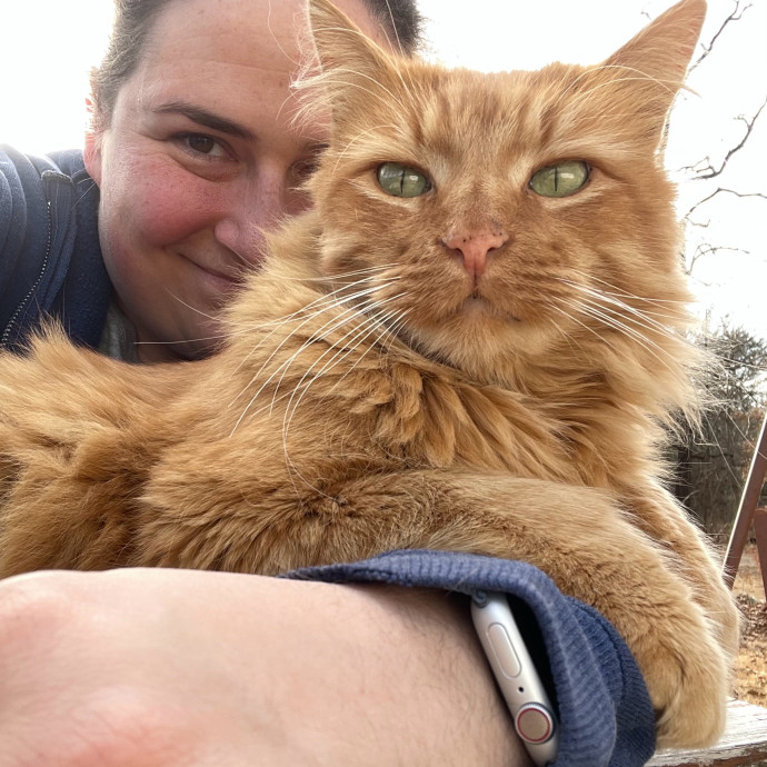 Whisker Watcher