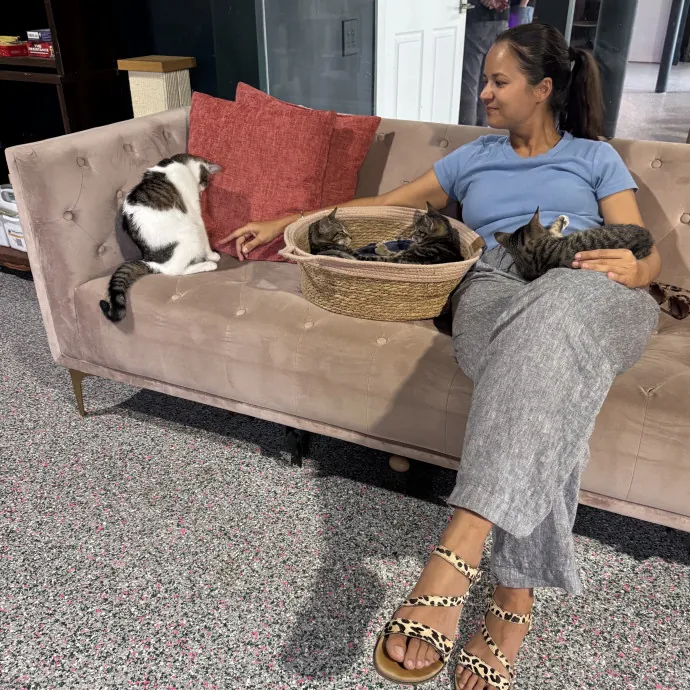 Cat Lover Offering Calm Attentive Care photo 2