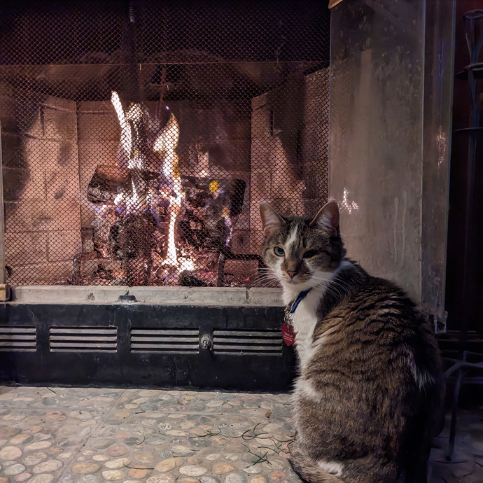 Keirstin's Kitty Care