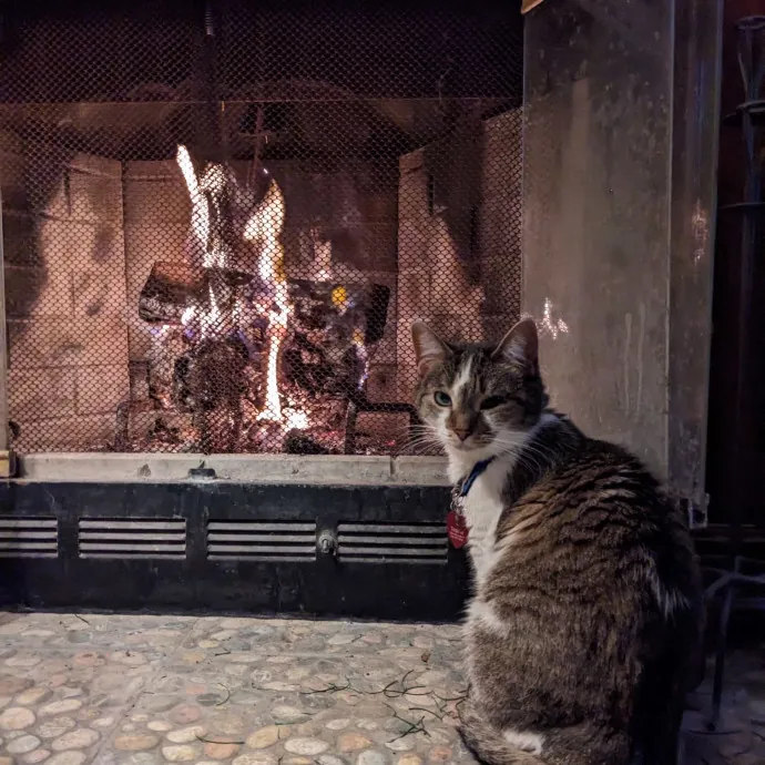 Keirstin's Kitty Care