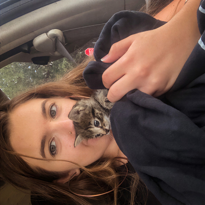 Keirstin's Kitty Care photo 3
