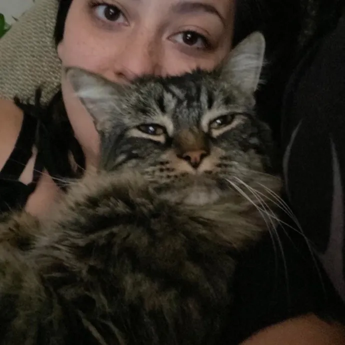 Experienced  Reliable Cat Lady