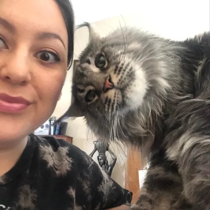 Experienced  Reliable Cat Lady