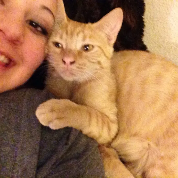 Experienced  Reliable Cat Lady photo 4