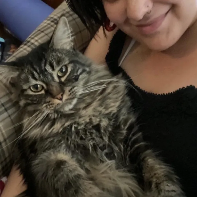 Experienced  Reliable Cat Lady photo 2