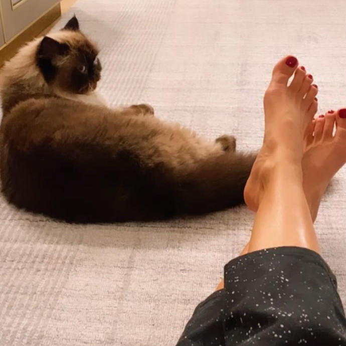 Cat Lover Providing Reliable Care