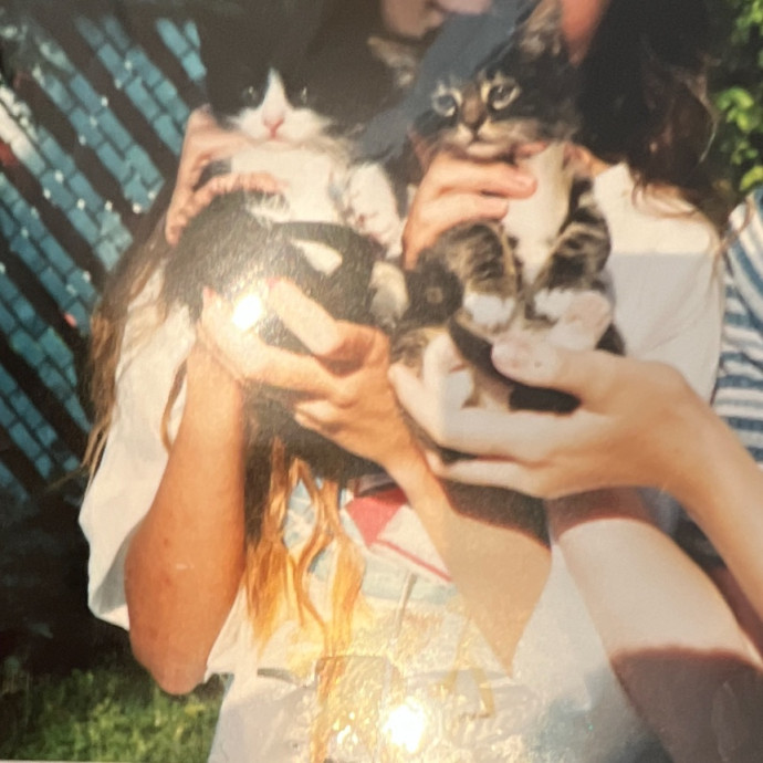 Cat Lover Providing Reliable Care