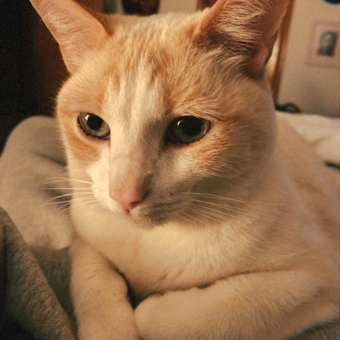 Trustworthy And Easy-Going photo 3