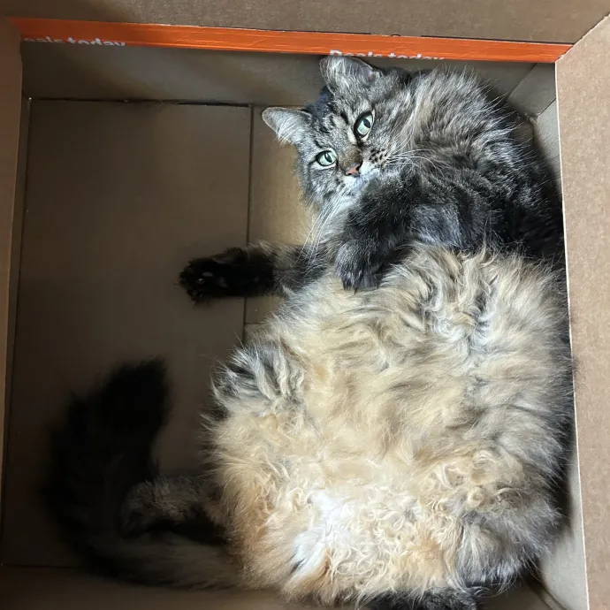 Bobbie M.