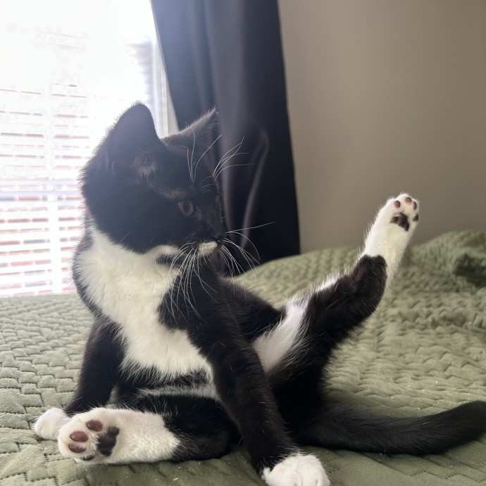Purr-Sonal Care Guaranteed
