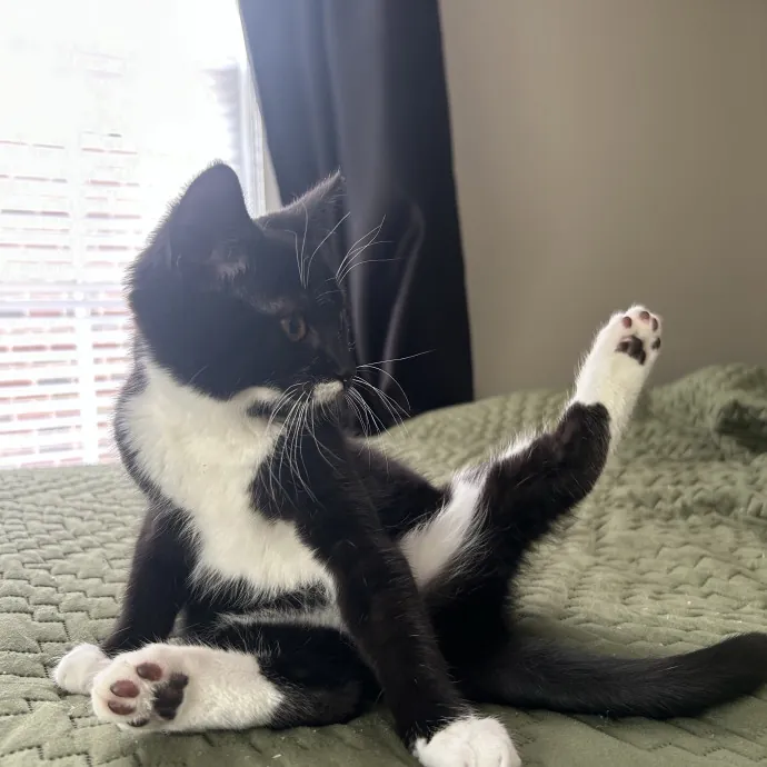 Bobbie M.